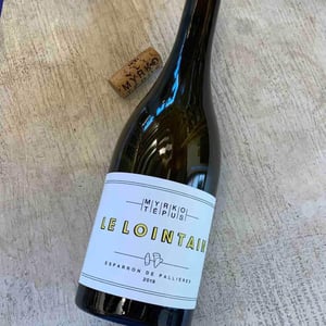 Le Lointain - Myrko Tépus - myrko-tepus