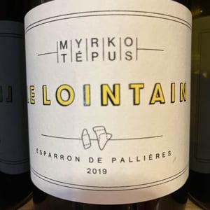 Le Lointain - Myrko Tépus - myrko-tepus