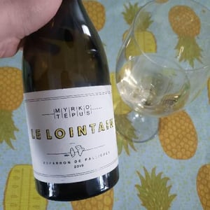 Le Lointain - Myrko Tépus - myrko-tepus