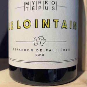 Le Lointain - Myrko Tépus - myrko-tepus
