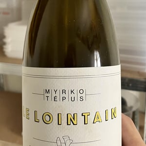 Le Lointain - Myrko Tépus - myrko-tepus