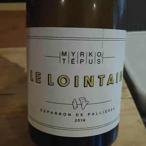 Le Lointain - Myrko Tépus - myrko-tepus