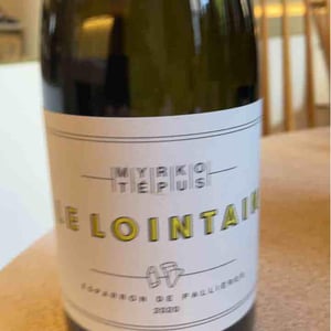 Le Lointain - Myrko Tépus - Myrko Tépus 