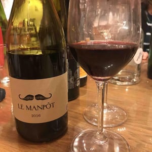 Le Manpôt - Domaine Bassac - jean-philippe-leca-francois-delhon