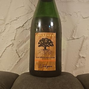 Le matisse 2016 - Marteaux Guillame - Guillaume Marteaux -2016