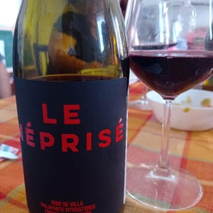 Le Méprisé (Tinto) - Vinos Malaparte - Elisa De Frutos & Ruben Salamanca 
