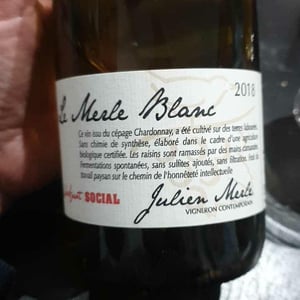 Le Merle Blanc - Julien Merle - julien-merle
