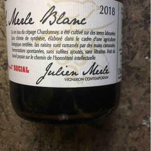 Le Merle Blanc - Julien Merle - Julien Merle 