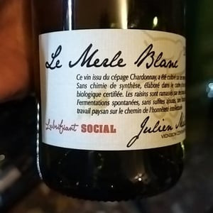Le Merle Blanc - Julien Merle - julien-merle