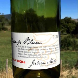 Le Merle Blanc - Julien Merle - Julien Merle 