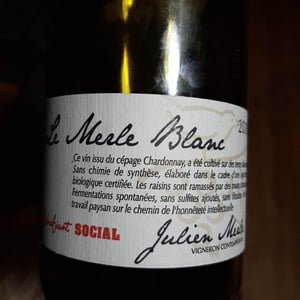Le Merle Blanc - Julien Merle - Julien Merle 