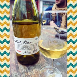 Le Merle Blanc - Julien Merle - Julien Merle 
