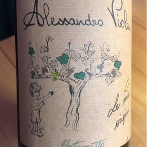 Le Mie Origini - Azienda Agricola Alessandro Viola - Alessandro Viola 