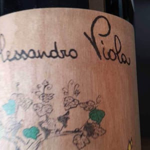 Azienda Agricola Alessandro Viola - Alessandro Viola - Le Mie Origini
