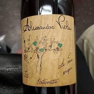 Azienda Agricola Alessandro Viola - Alessandro Viola - Le Mie Origini