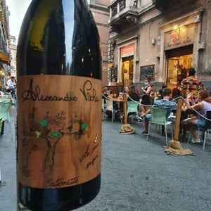 Azienda Agricola Alessandro Viola - Alessandro Viola - Le Mie Origini