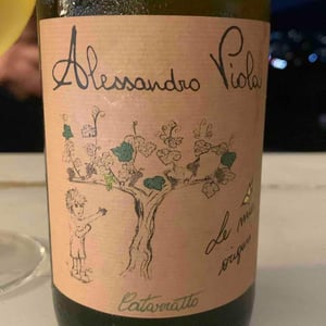 Le Mie Origini - Azienda Agricola Alessandro Viola - alessandro-viola