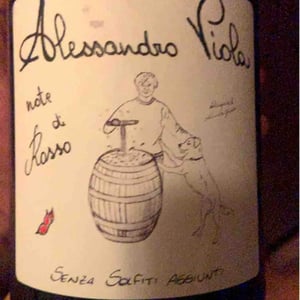 Azienda Agricola Alessandro Viola - Alessandro Viola - Le Mie Origini