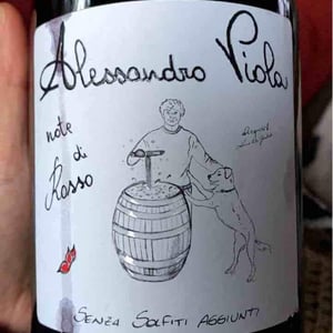 Azienda Agricola Alessandro Viola - Alessandro Viola - Le Mie Origini
