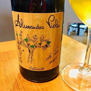 Azienda Agricola Alessandro Viola - Alessandro Viola - Le Mie Origini