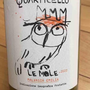 Il Quarticello - Roberto Maestri - Le Mole