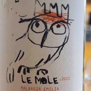 Le Mole - Il Quarticello - Roberto Maestri 