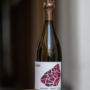 Le Mont Chainqueux - Elise Bougy - elise-bougy