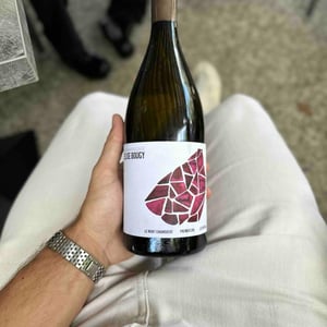 Le Mont Chainqueux - Elise Bougy - elise-bougy