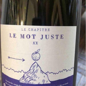 Le Mot Juste - Le Chapitre - Gregoire Aubrun -2020