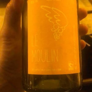 Le Moulin - Le Raisin à Plume - Jacques Février 