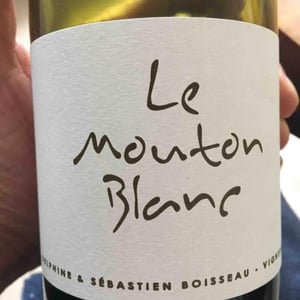 Domaine La Vigne Mouton - Margaux Calland & Valentin Richoux - Le Mouton Blanc