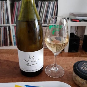 Domaine La Vigne Mouton - Margaux Calland & Valentin Richoux - Le Mouton Blanc