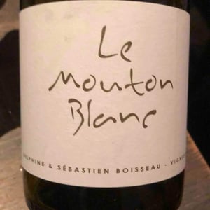 Le Mouton Blanc - Domaine La Vigne Mouton - Margaux Calland & Valentin Richoux 