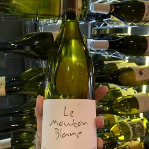 Le Mouton Blanc - Domaine La Vigne Mouton - margaux-calland-valentin-richoux
