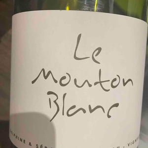 Le Mouton Blanc - Domaine La Vigne Mouton - margaux-calland-valentin-richoux