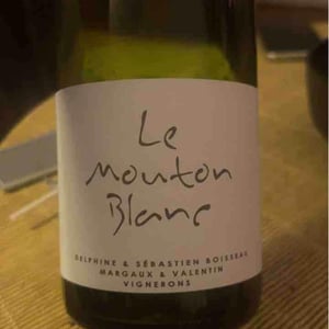 Domaine La Vigne Mouton - Margaux Calland & Valentin Richoux - Le Mouton Blanc