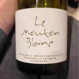 Le Mouton Blanc - Domaine La Vigne Mouton - margaux-calland-valentin-richoux
