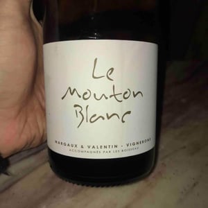 Le Mouton Blanc - Domaine La Vigne Mouton - Margaux Calland & Valentin Richoux 