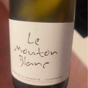 Le Mouton Blanc - Domaine La Vigne Mouton - Margaux Calland & Valentin Richoux 