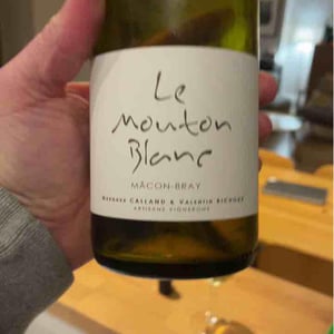Le Mouton Blanc - Domaine La Vigne Mouton - Margaux Calland & Valentin Richoux 