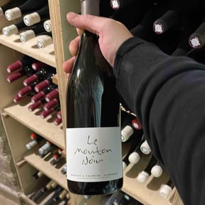 Le Mouton Noir - Domaine La Vigne Mouton - margaux-calland-valentin-richoux -2020