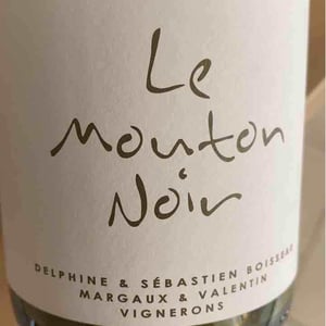 Le Mouton Noir - Domaine La Vigne Mouton - Margaux Calland & Valentin Richoux -2020