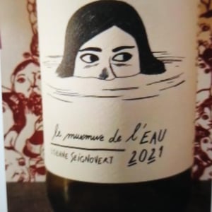 Domaine Etienne Seignovert - Etienne Seignovert - Le Murmure de l'Eau