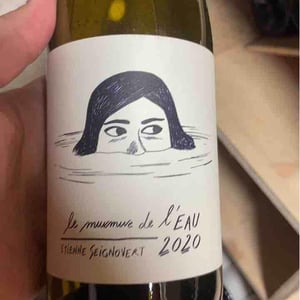 Le Murmure de l'Eau - Domaine Etienne Seignovert - etienne-seignovert
