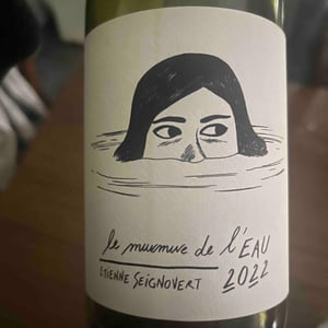 Domaine Etienne Seignovert - Etienne Seignovert - Le Murmure de l'Eau
