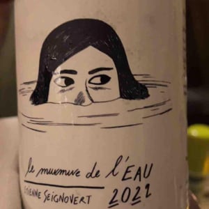 Le Murmure de l'Eau - Domaine Etienne Seignovert - Etienne Seignovert 