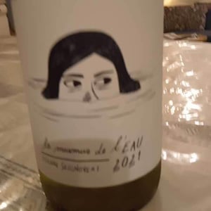 Le Murmure de l'Eau - Domaine Etienne Seignovert - etienne-seignovert