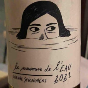 Le Murmure de l'Eau - Domaine Etienne Seignovert - Etienne Seignovert 