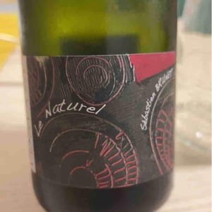 Sébastien Brunet - Sébastien Brunet - Le Naturel