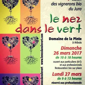 Le Nez Dans Le Vert - Domaine de la Pinte - Arbois